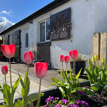 The Stables @ The Forge Cronk Y Voddy Apartment Saint Johns Bagian luar foto